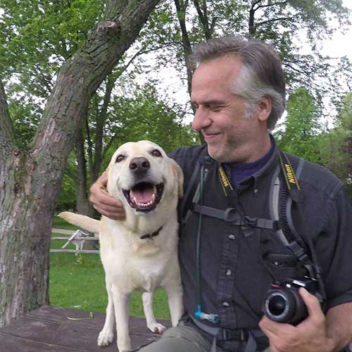 Pete patting sandi the yellow lab